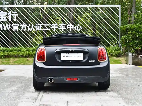 MINI MINI 2020