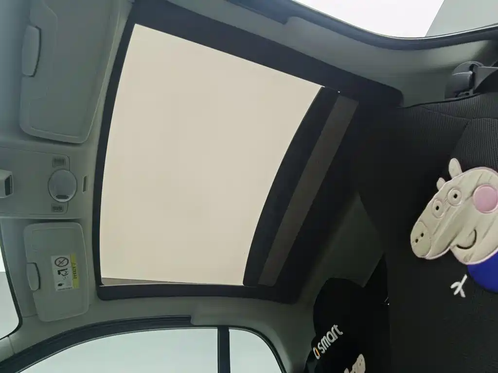 smart fortwo 2014 — фото 14
