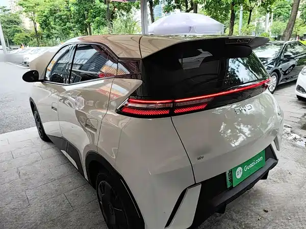 BYD Seagull 2024