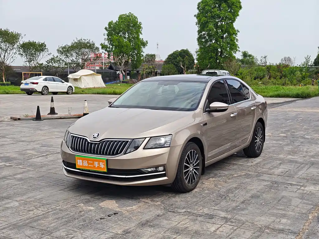 Skoda Octavia 2019 — фото 1
