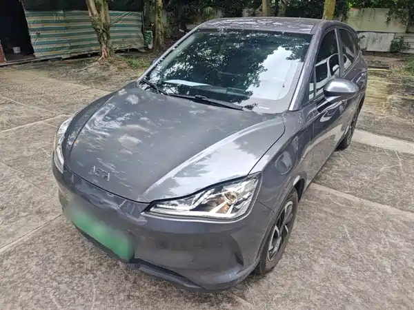 Neta V 2021