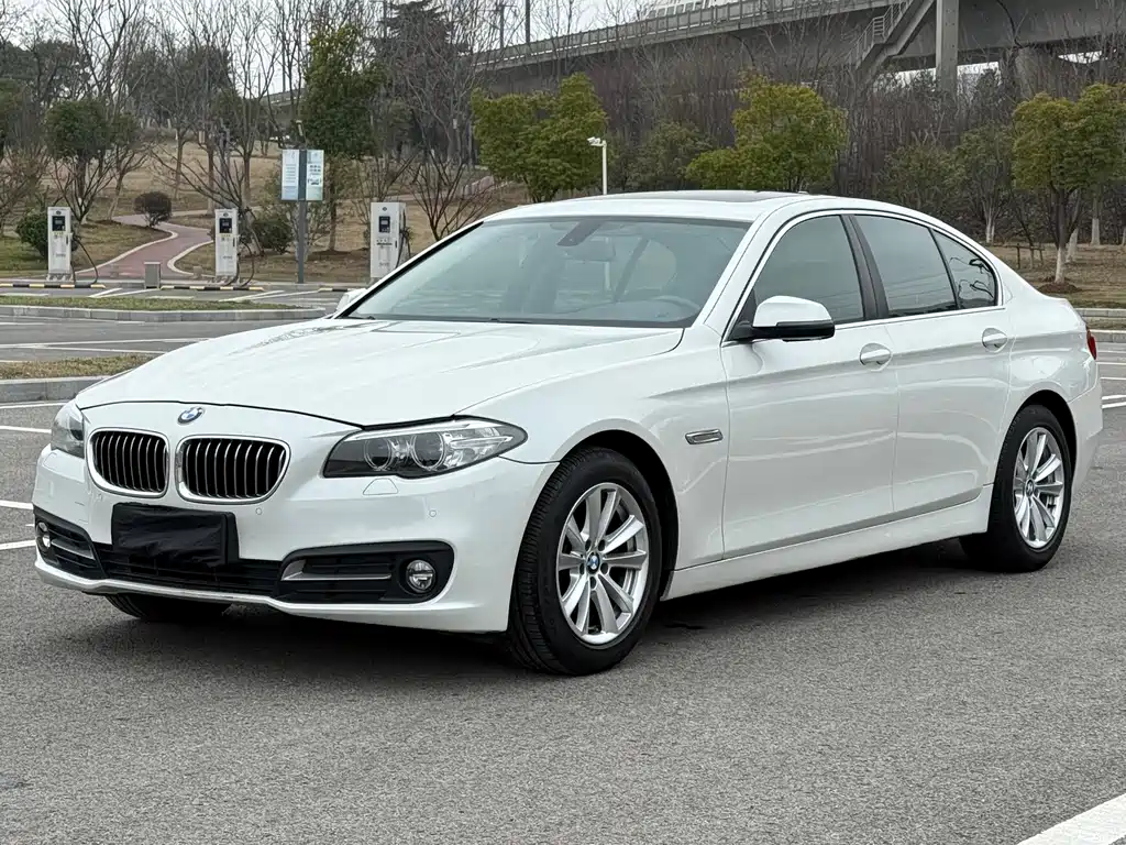 BMW 5 Series 2014 — фото 1