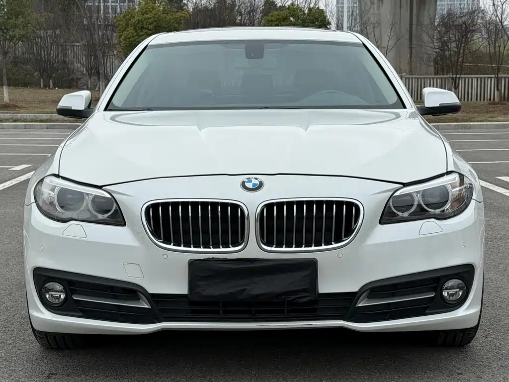 BMW 5 Series 2014 — фото 2