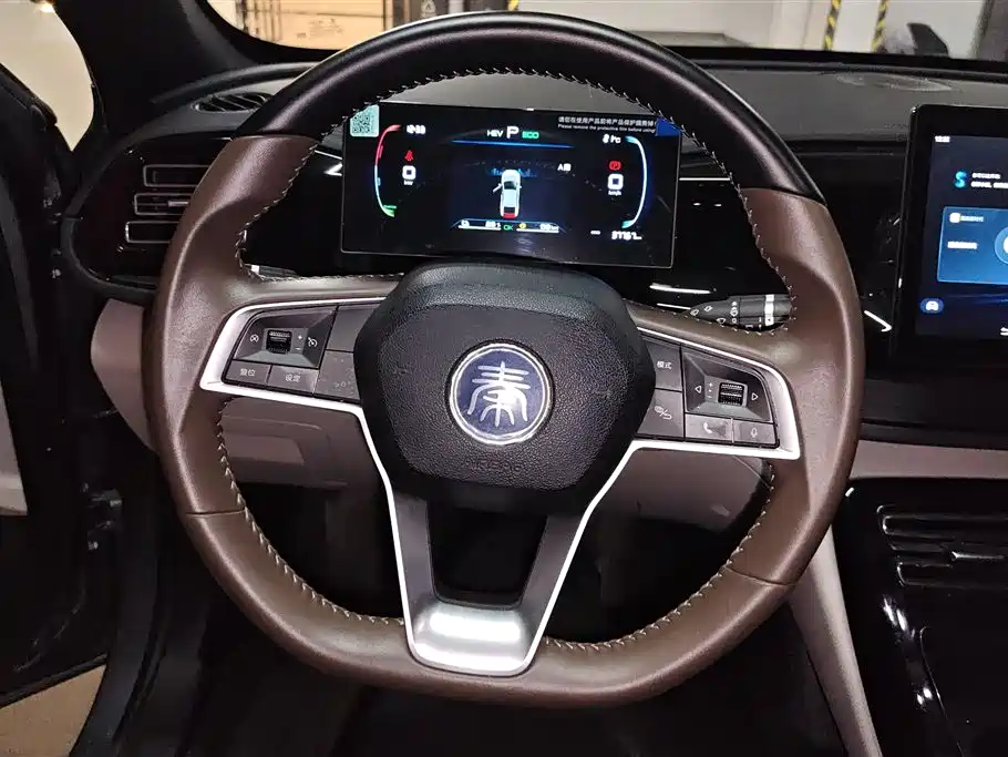 BYD Qin PLUS 2024 — фото 15