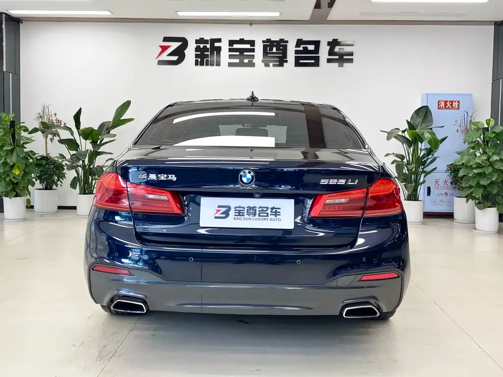 BMW 5 Series 2019 — фото 17