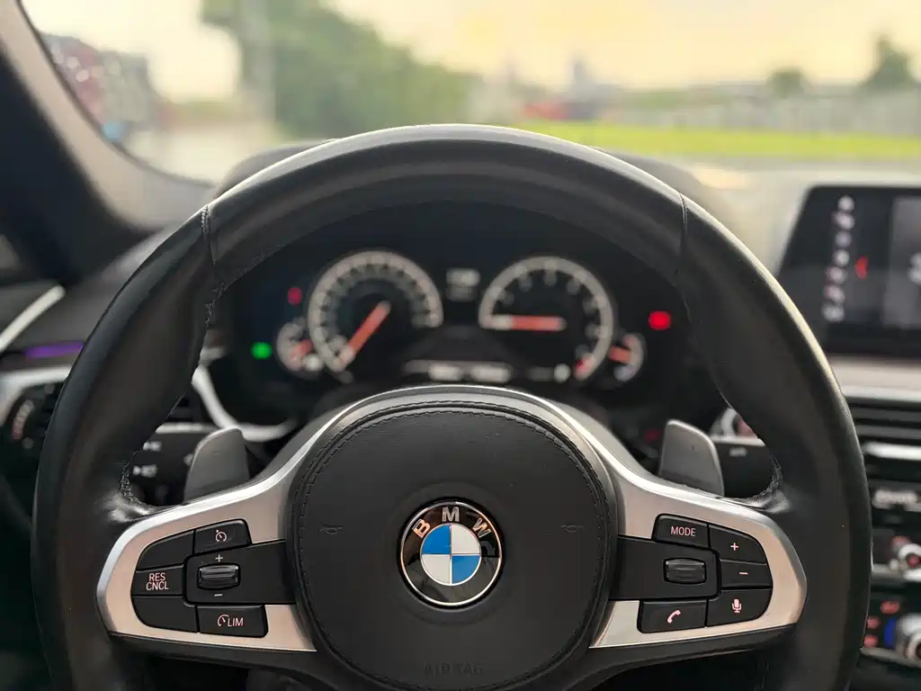 BMW 5 Series 2018 — фото 13