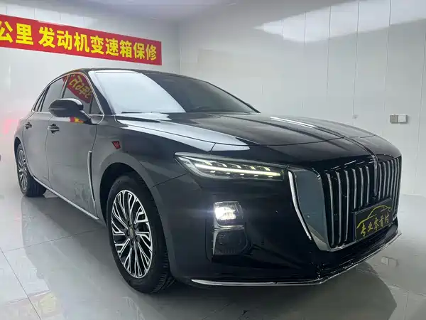 Hongqi H5 2024