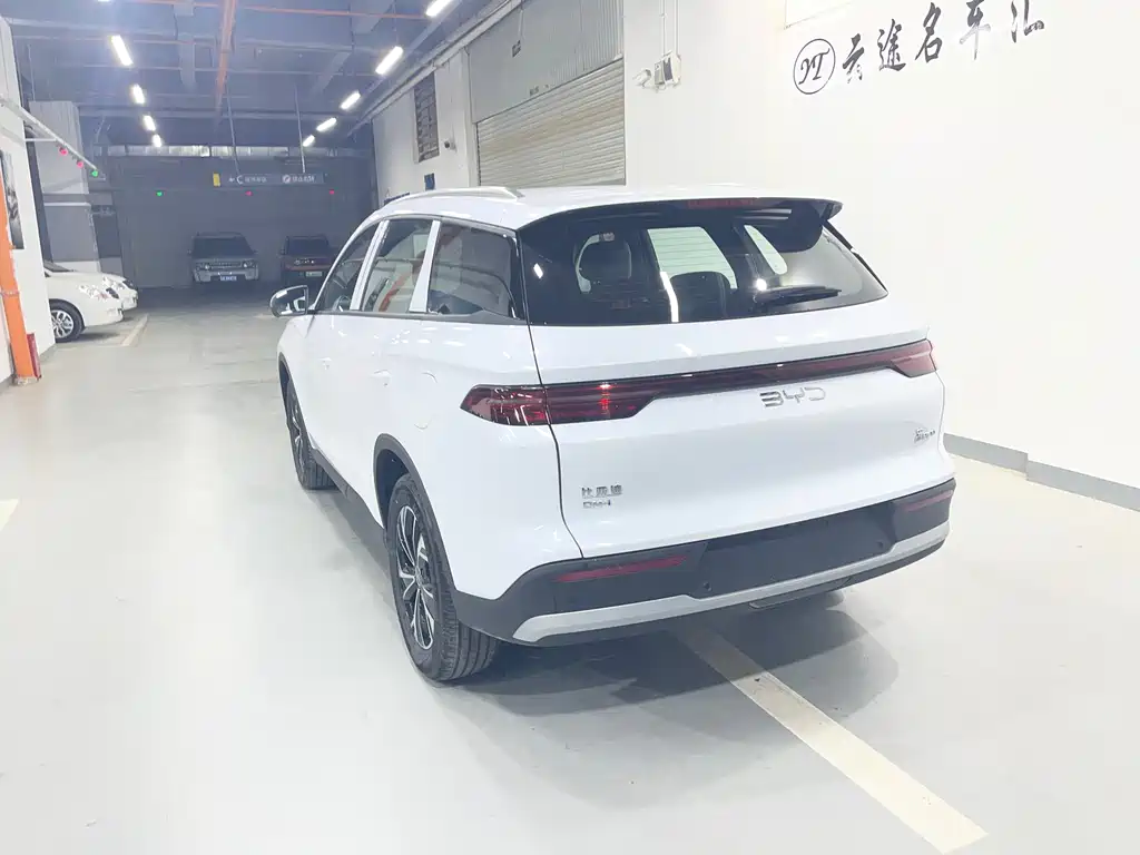 BYD Pro New Energy 2025 — фото 12