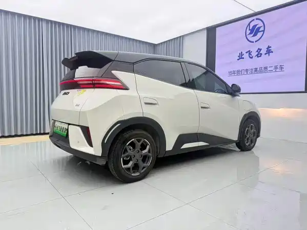 BYD Seagull 2025