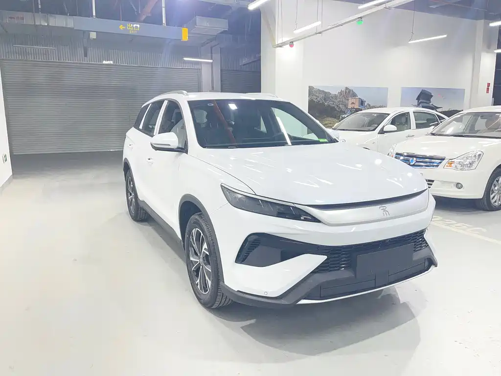 BYD Pro New Energy 2025 — фото 3