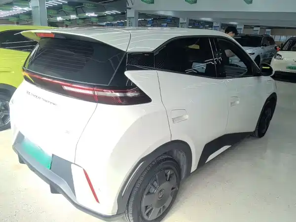 BYD Seagull 2024