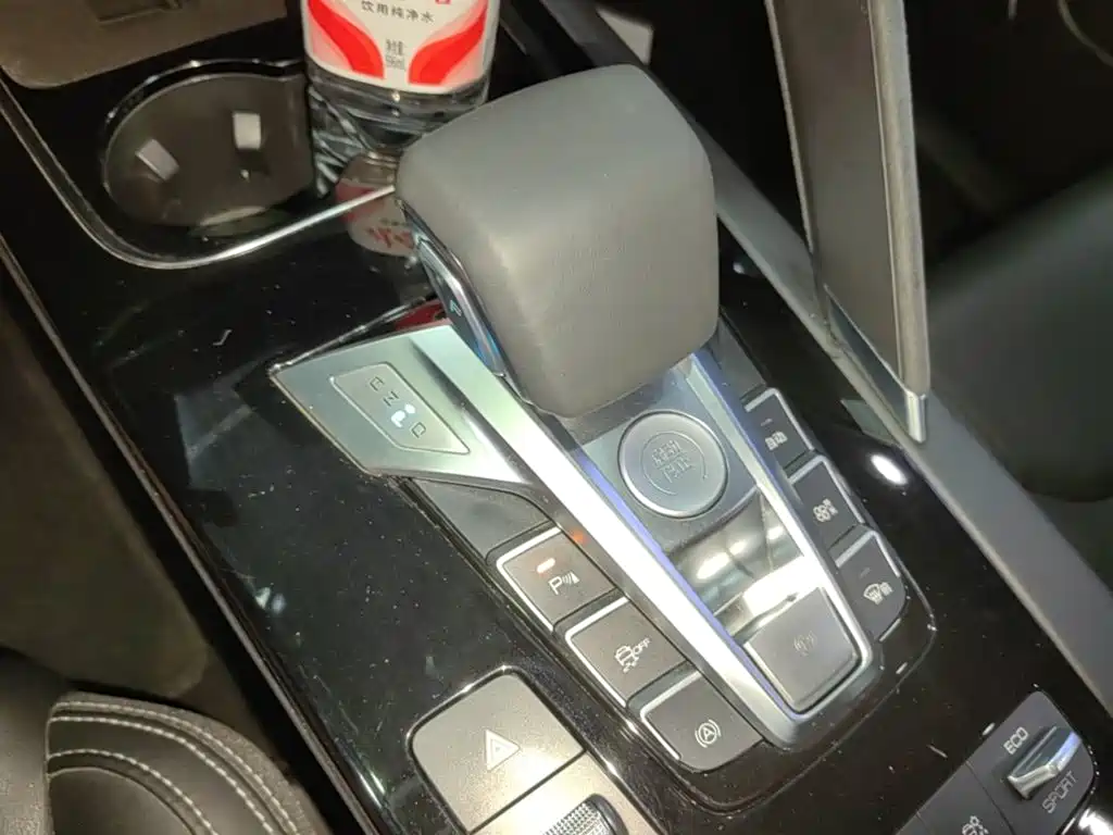 BYD Pro New Energy 2019