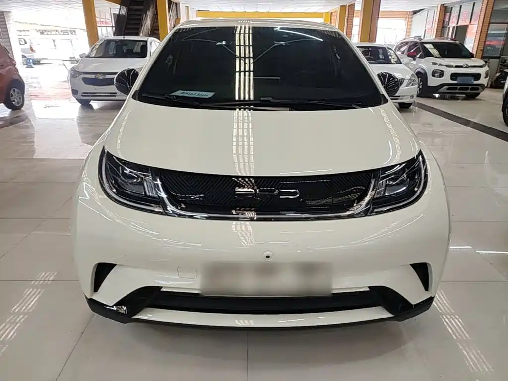 BYD Dolphin 2024