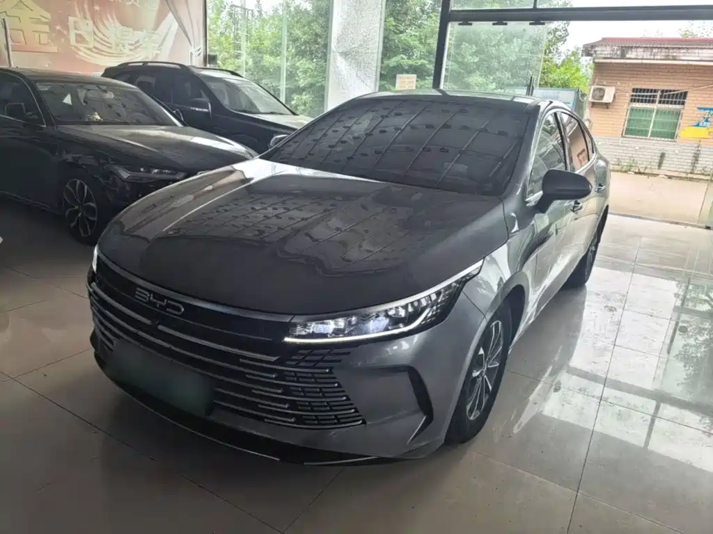 BYD Destroyer 05 2023 — фото 2