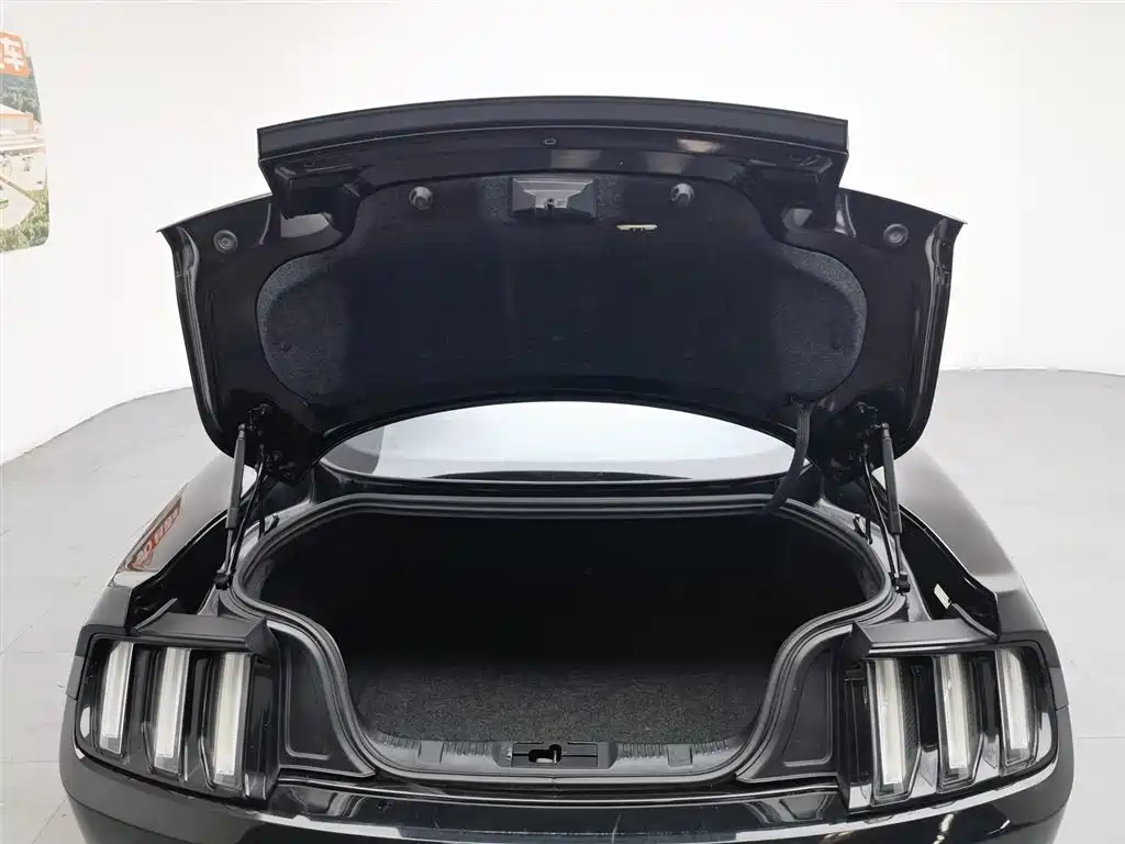 Ford Mustang 2015 — фото 16