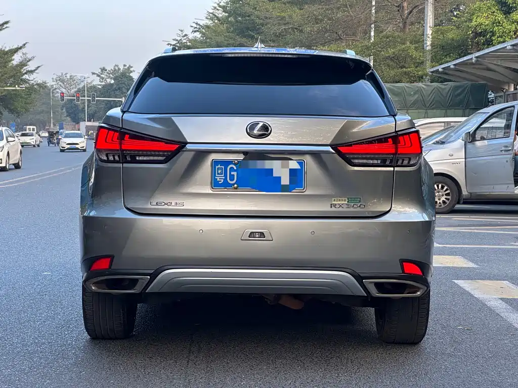 Lexus RX 2020 — фото 10