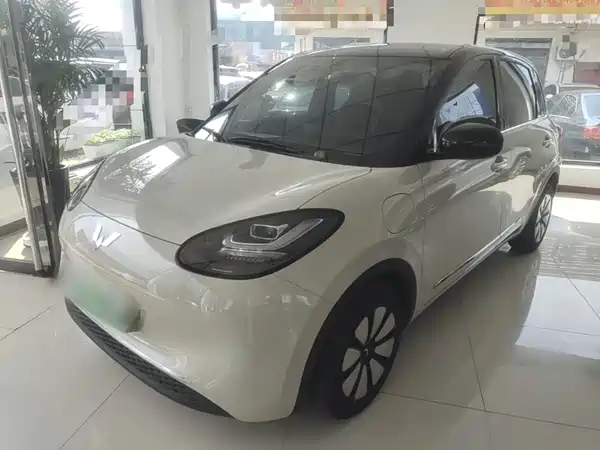 Wuling Bingo 2024