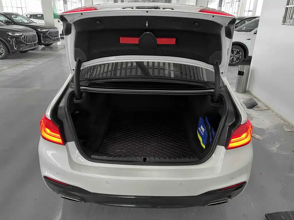 BMW 5 Series 2018 — фото 18