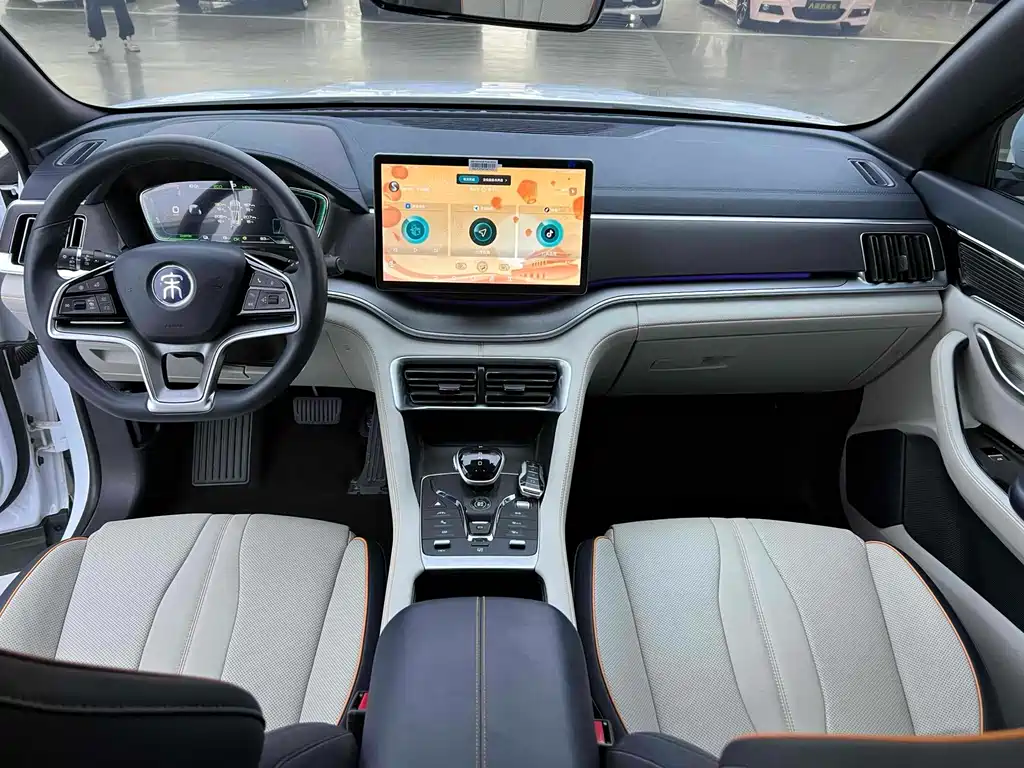 BYD PLUS New Energy 2023 — фото 10