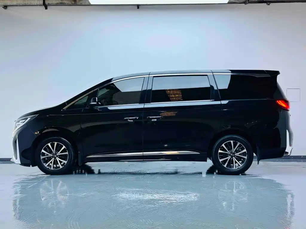 GAC Motor Trumpchi M8 2024 — фото 13