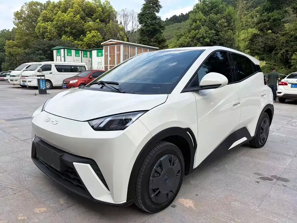 BYD Seagull 2024