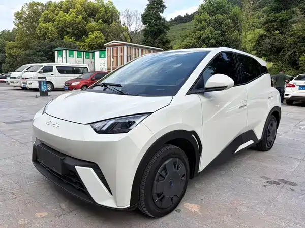 BYD Seagull 2024