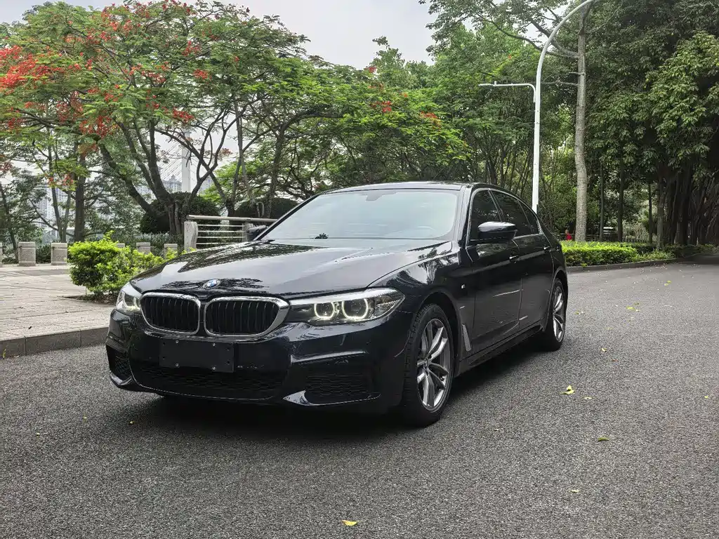 BMW 5 Series 2020