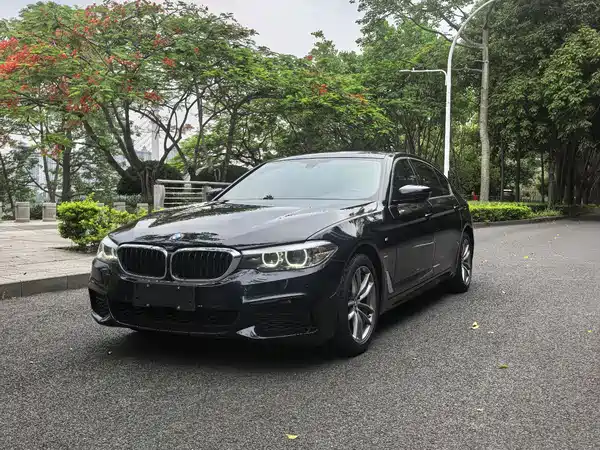 BMW 5 Series 2020