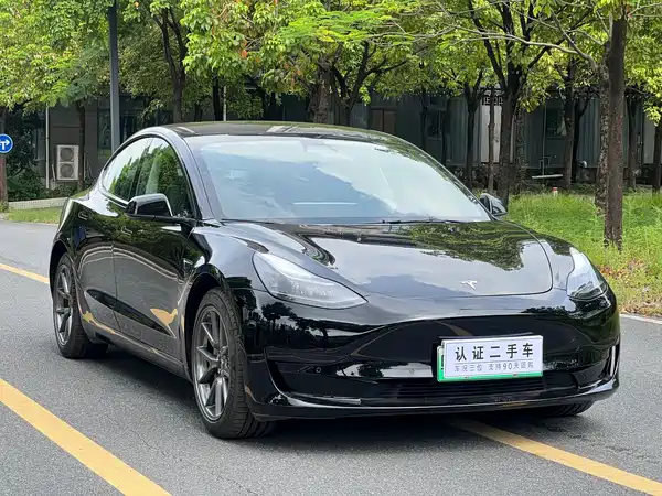 Tesla Model 3 2021
