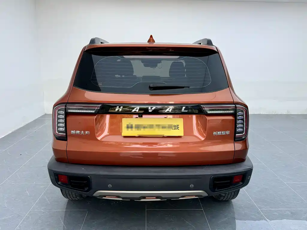 Haval Big Dog 2021 — фото 18