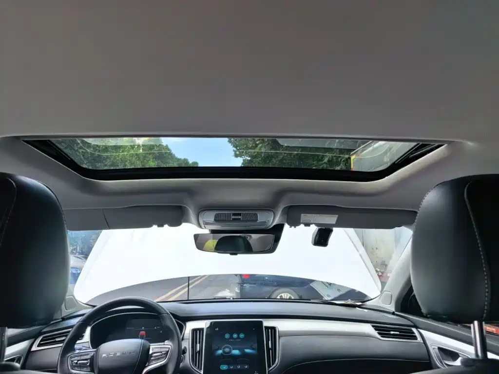 Roewe MAX 2021 — фото 18