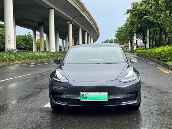 Tesla Model 3 2020