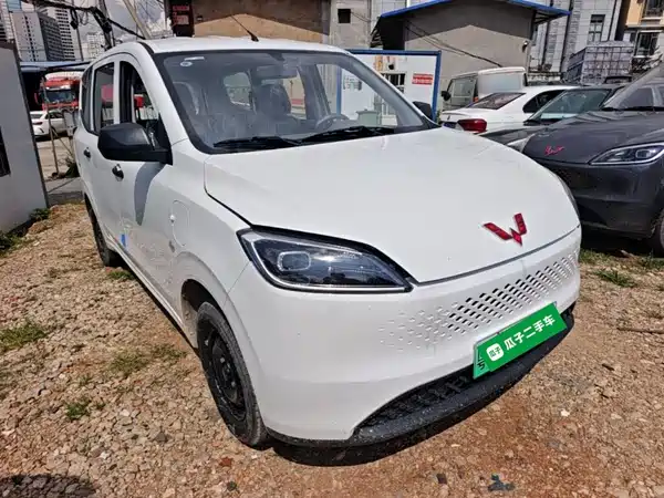 Wuling Hongguang New Energy 2026