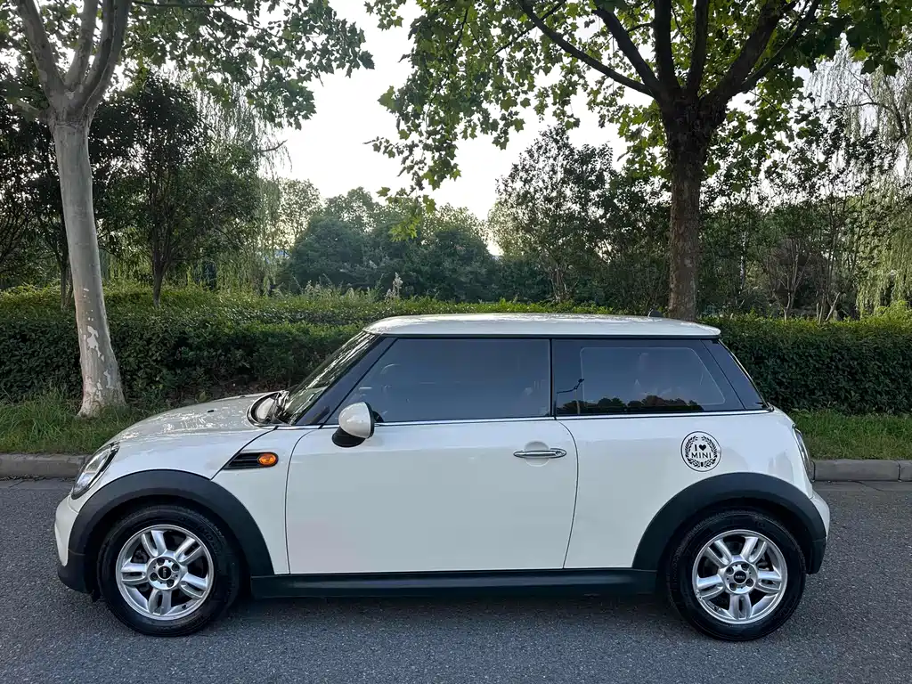 MINI MINI 2014