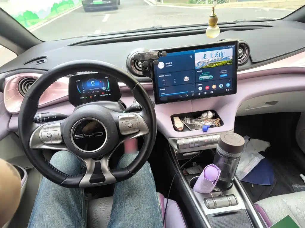 BYD Dolphin 2023 — фото 13