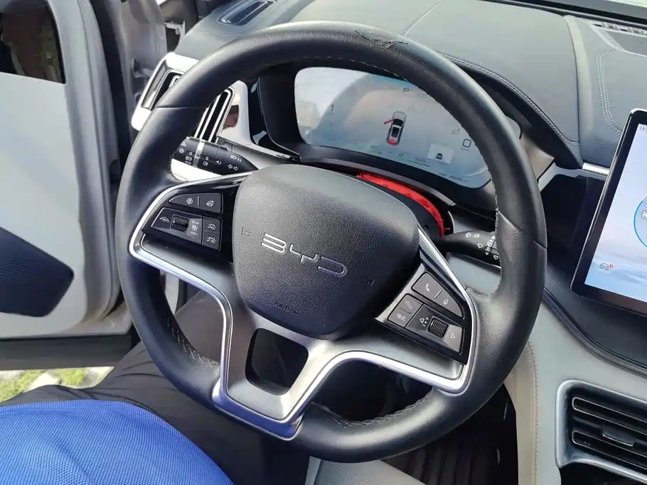 BYD Song PLUS New Energy 2024 — фото 15