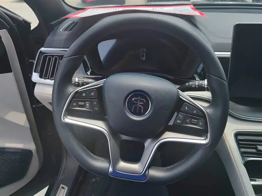 BYD PLUS New Energy 2022 — фото 15
