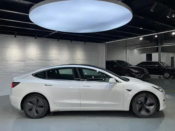 Tesla Model 3 2019