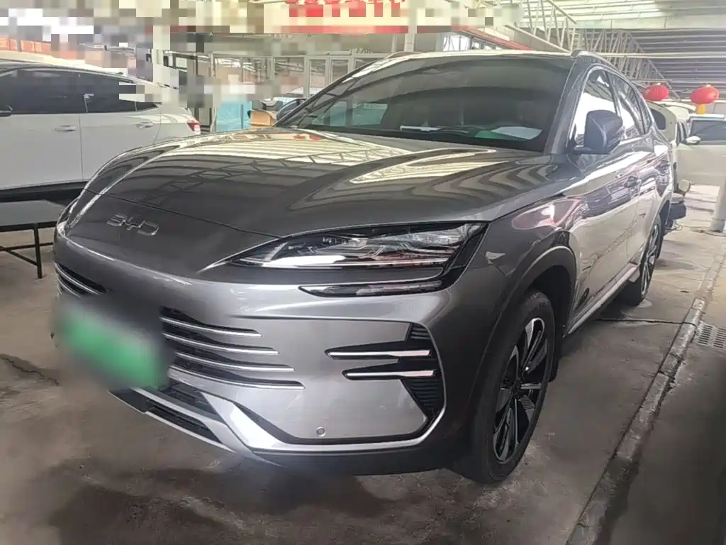BYD PLUS New Energy 2025 — фото 2