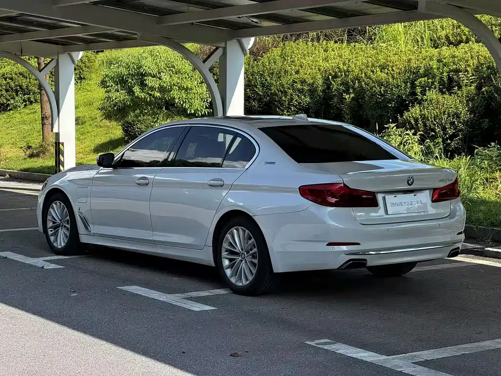 BMW 5 Series New Energy 2019