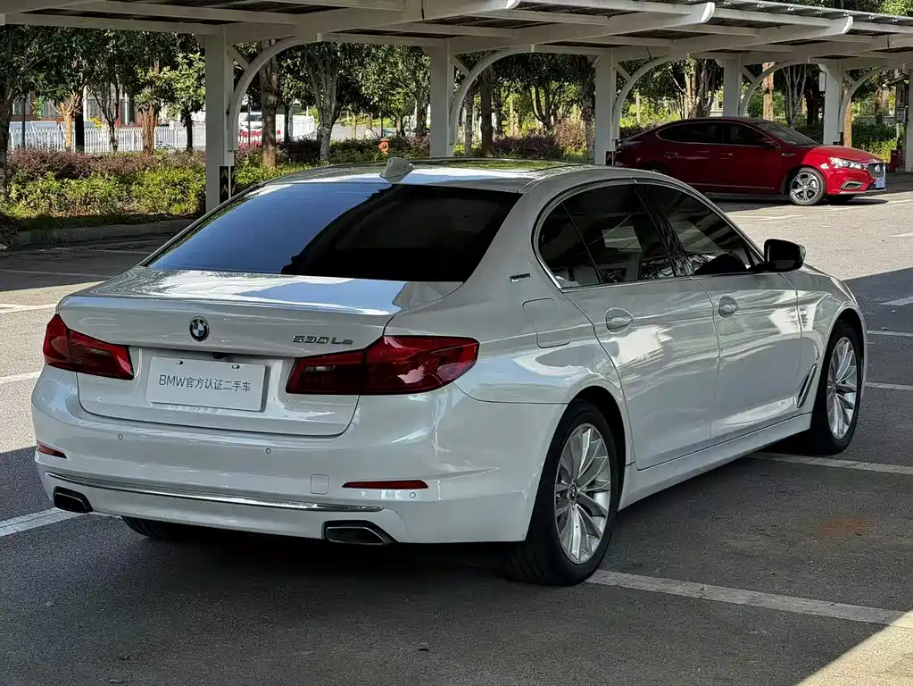 BMW 5 Series New Energy 2019