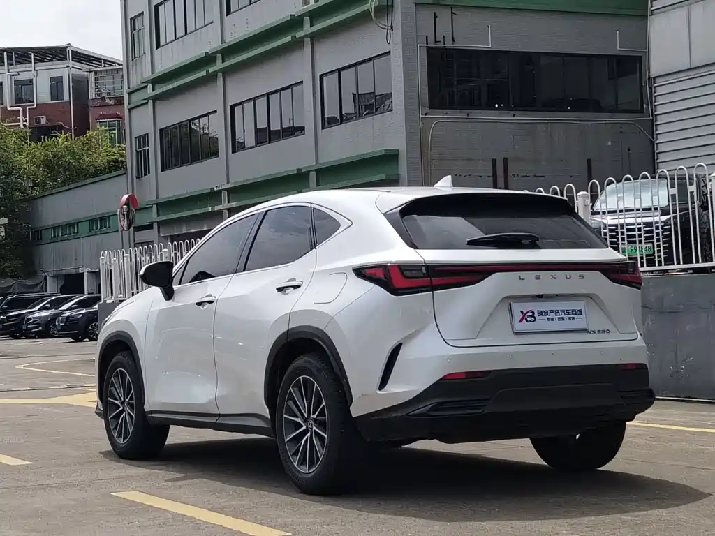Lexus NX 2024 — фото 14