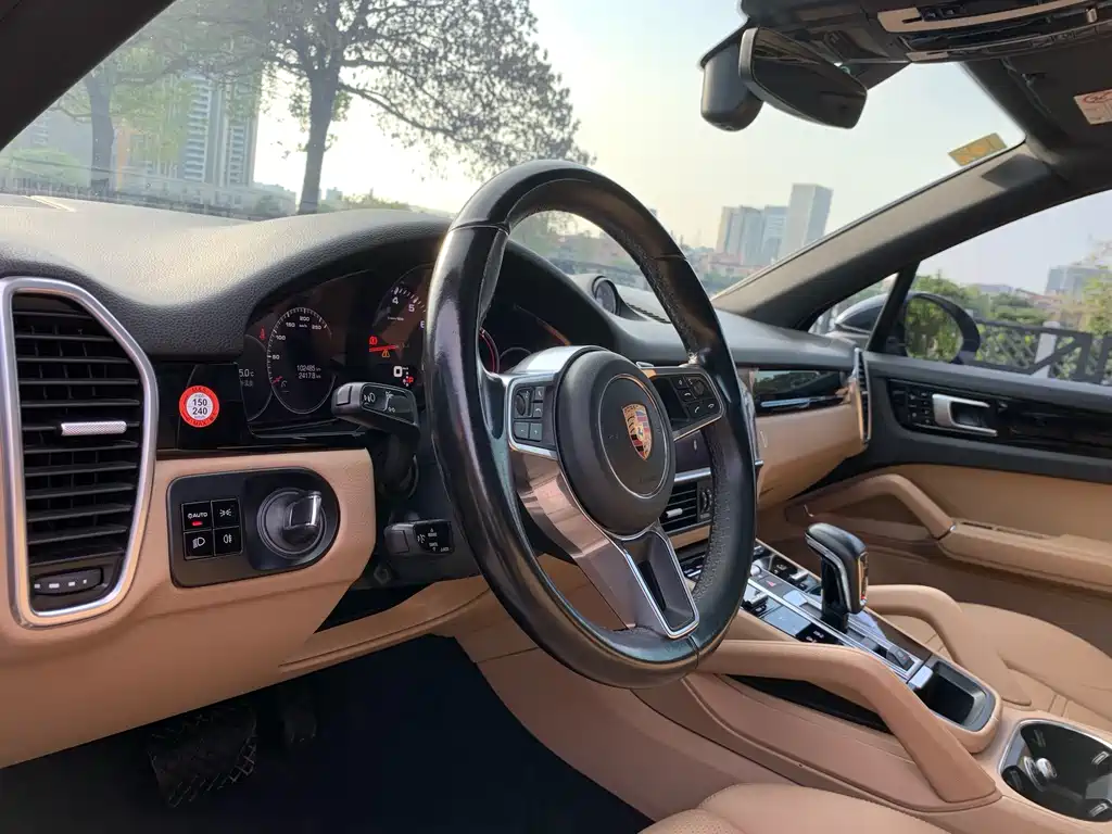 Porsche Cayenne 2019 — фото 18