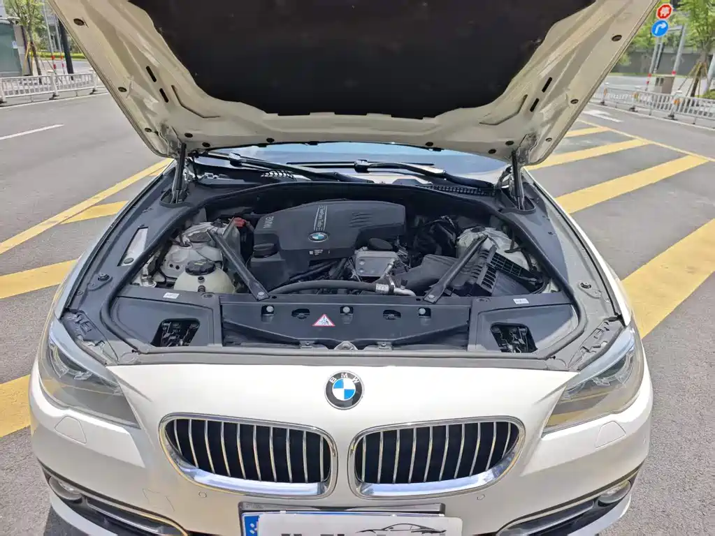 BMW 5 Series 2016 — фото 19