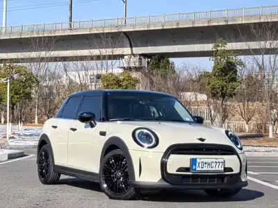 MINI MINI 2022