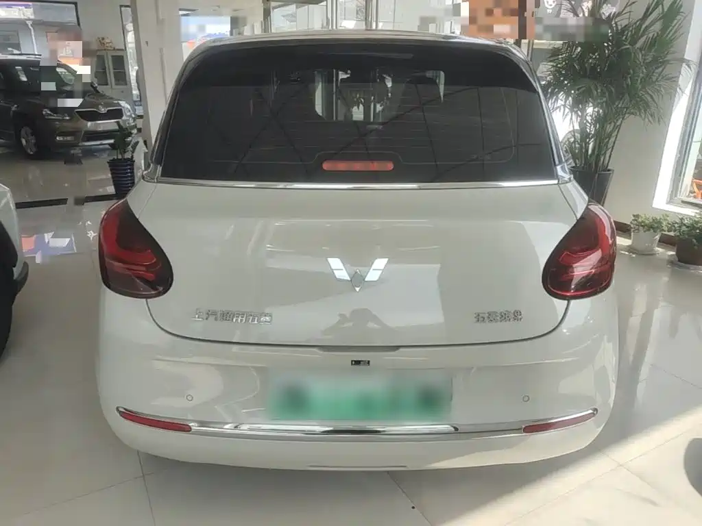 Wuling Bingo 2024