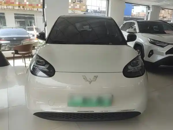 Wuling Bingo 2024