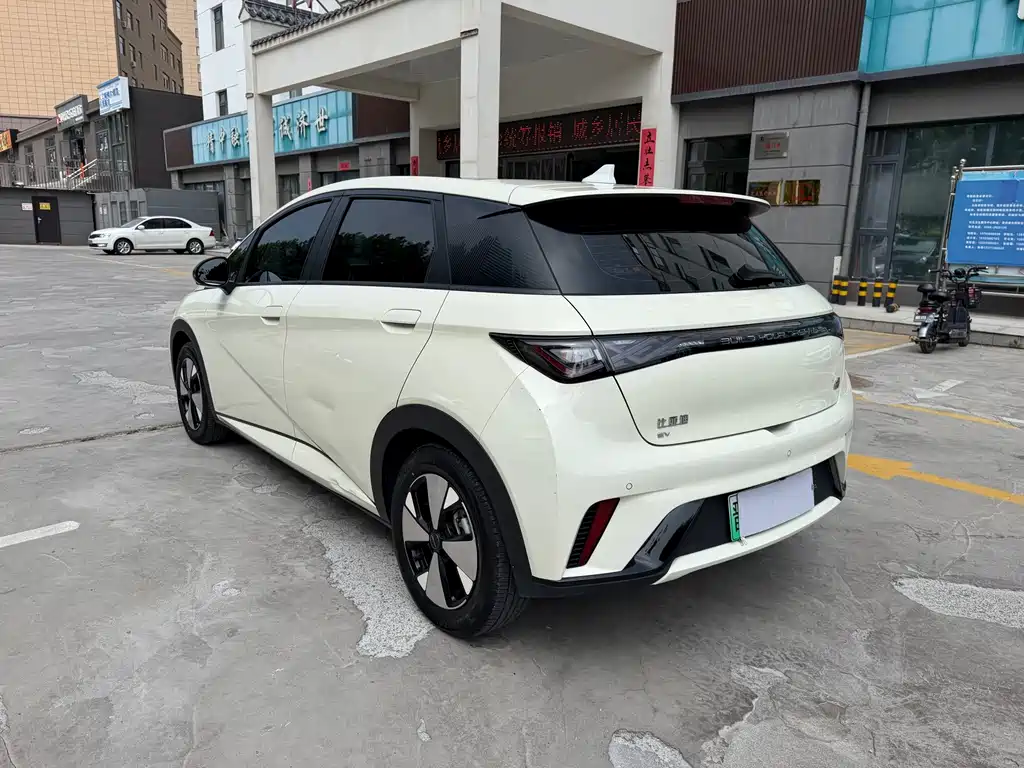 BYD Dolphin 2024