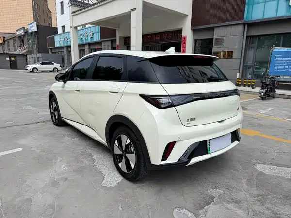 BYD Dolphin 2024