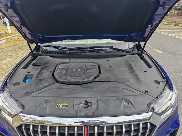 Hongqi HS5 2019